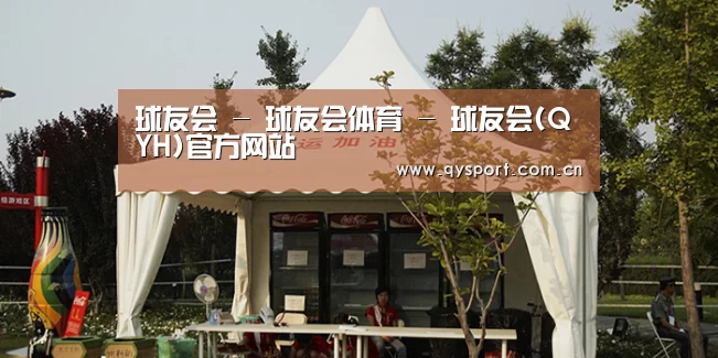 案例标题五