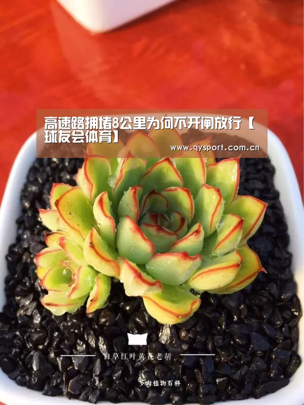 球友会体育