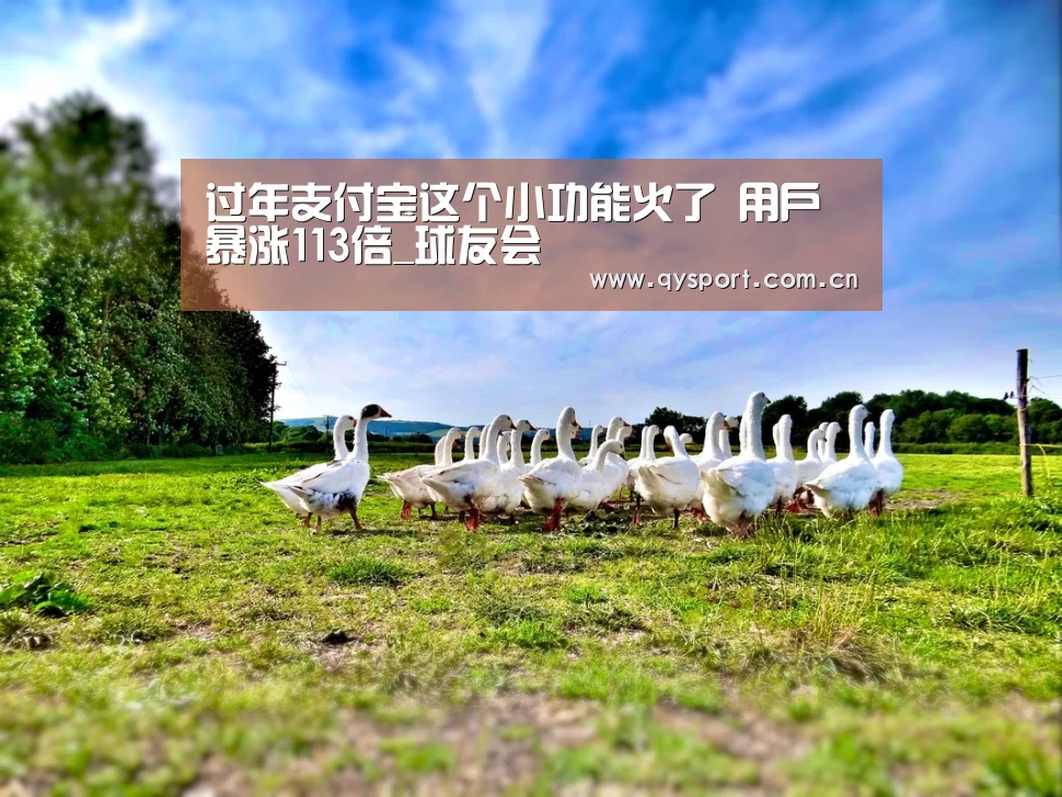 过年支付宝这个小功能火了 用户暴涨113倍_球友会(图1) 球友会官网